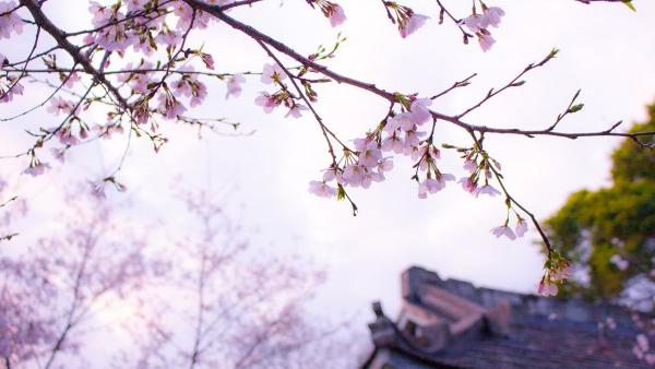 Illusztráció (Fotó: pexels.com)