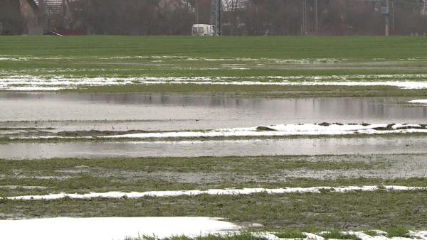 (Fotó: Kovács Dénes)