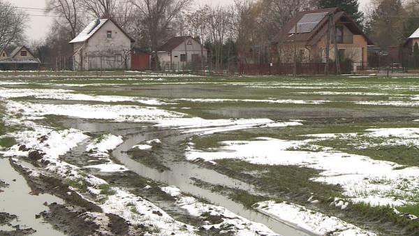 (Fotó: Kovács Dénes)