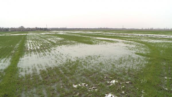 Fotó: behir.hu/Kovács Dénes