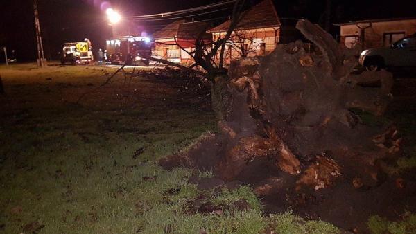 Fotó: Kovács Dénes