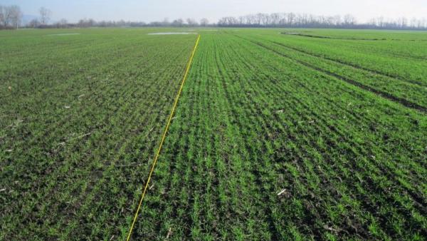 Fotó: agroinform.hu