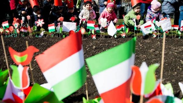 MTI fotó: Balogh Zoltán