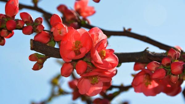 (Fotó: Németh Csilla)