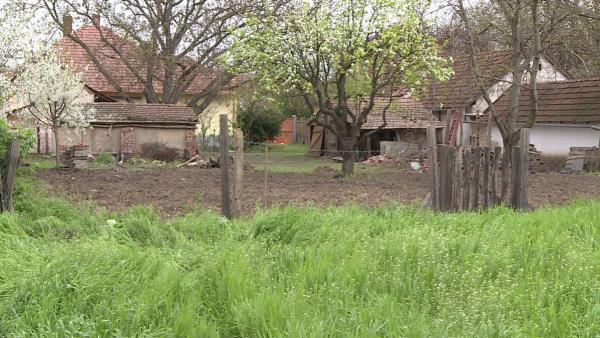 Ebben a kertben találtak rá a csecsemő holttestére