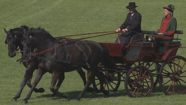 Fotók: Fazekas Róbert