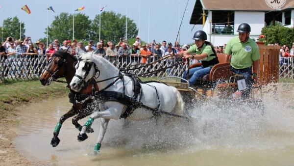 Balla Evelin (fotó: Vida-Szűcs István)