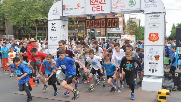 A tavalyi rajt. Fotó: BCSAC