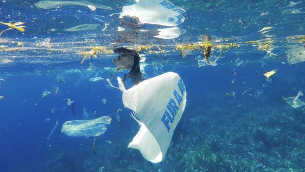 Illusztráció: noihirek.hu