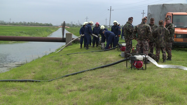 Gyakorlat Orosháza mellett. Fotó: Ujházi György