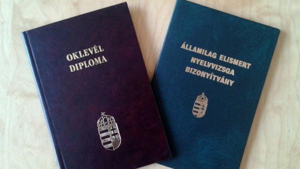 Illusztráció: nyest.hu