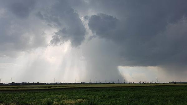 Fotó: Kovács Dénes