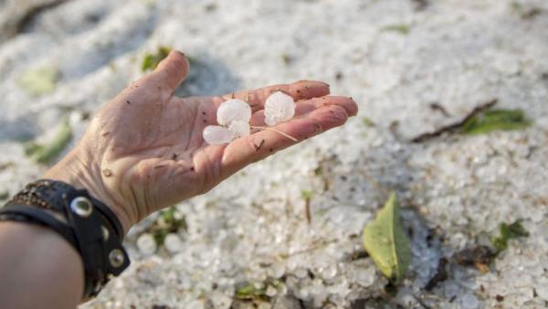 Fotó: MTI, Rosta Tibor