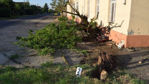 Baleset Gyulán. Fotó: police.hu