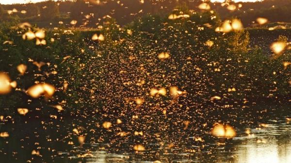 Fotó: Tószögi György