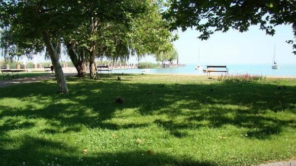 Illusztráció: behir.hu