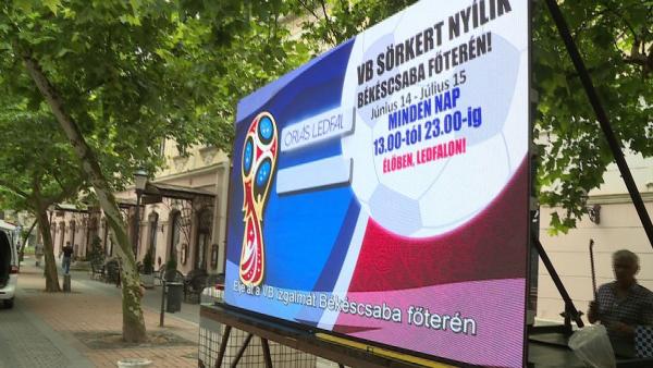 Illusztráció (Fotó: Ujházi György)