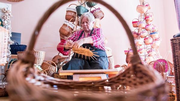 (Fotó: Békési Polgármesteri Hivatal)