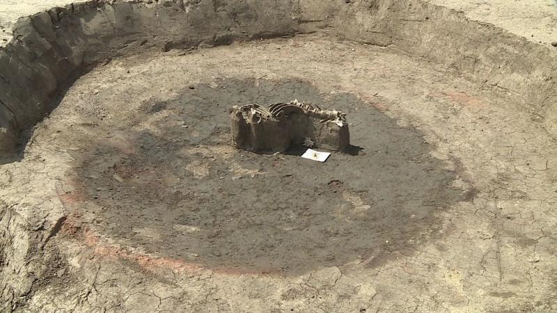 Itt például az egyik kemencében találtak rá egy kutya maradványaira. Fotó: Ujházi György