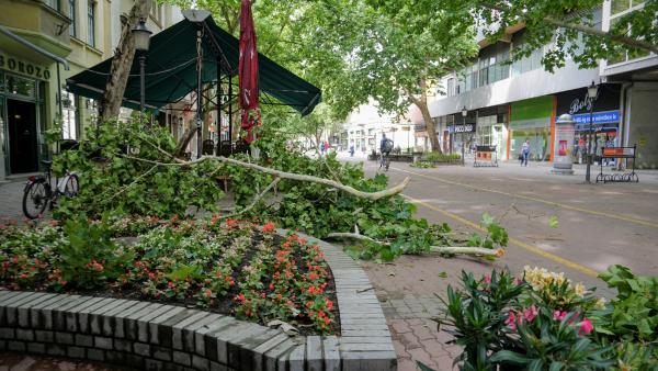 Viharkár Békéscsabán, az Andrássy úton. Fotó: VD
