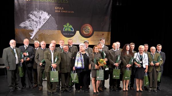 Fotó: Erdészeti Lapok – Nagy László