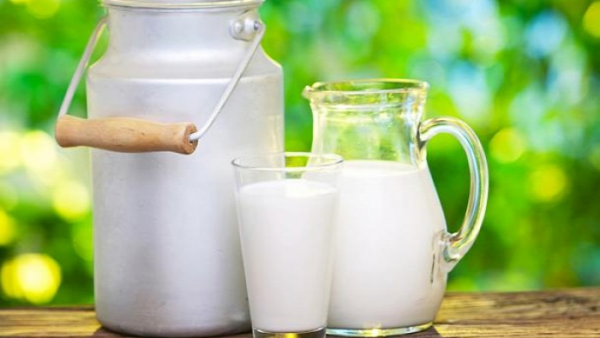 Az átlagmagyar 67 liter tejet fogyaszt (forrás: hirek.ma)