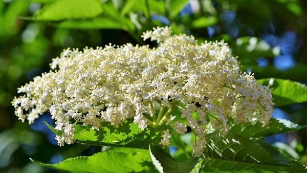 Illusztráció. Forrás: napi.hu