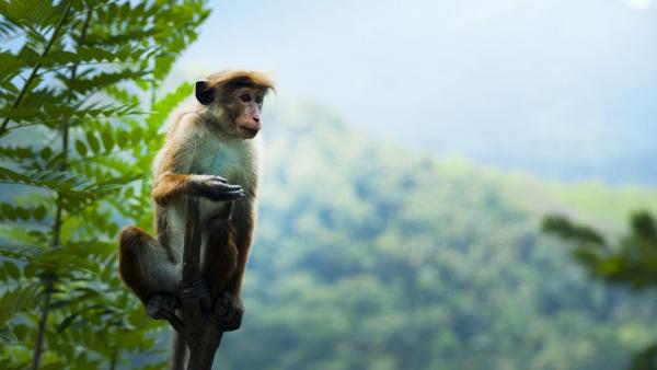 Képünk illusztráció. Fotó: pexels