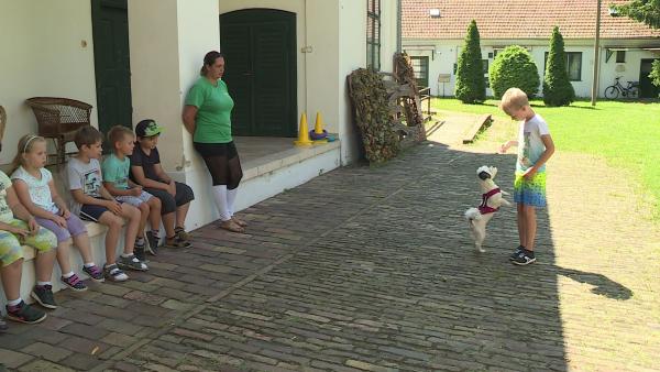 Fotók: Fazekas Róbert