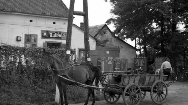 Forrás: FORTEPAN/Magyar Rendőr