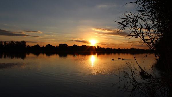 Naplemente Békéscsabán, a bányatavaknál - a fotó jobb oldalán található nyíllal lapozhat mini galériánkban (fotó: Kliment Pál)