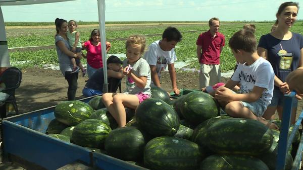 Fotó: Fazekas Róbert