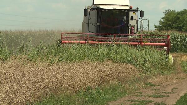 Fotó: Kugyelka Attila