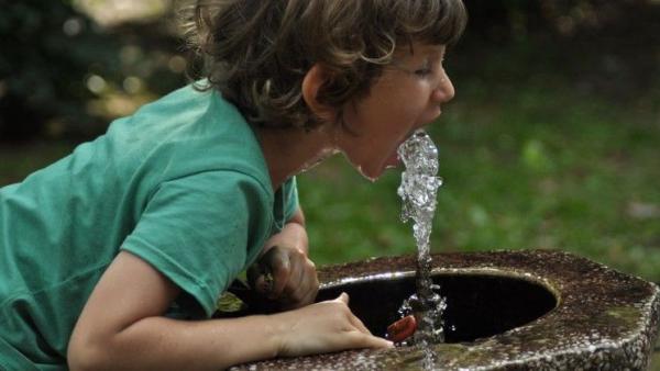 Illusztráció: HáziPatika