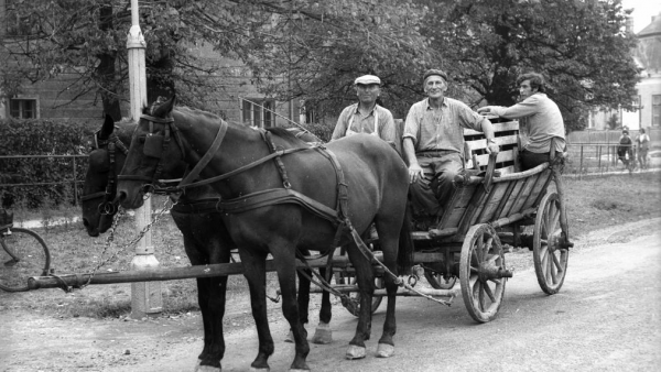 Forrás: FORTEPAN/Vizsnyiczai Erzsébet