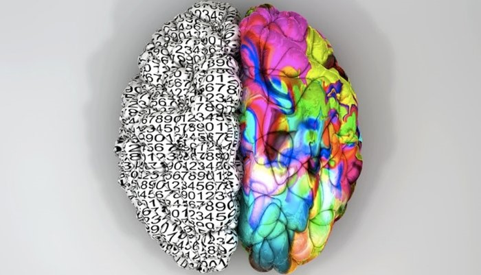 A jobb és bal agyteke közötti különbség (forrás: adspartner.com)