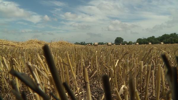 Fotó: Kugyelka Attila / 7.TV