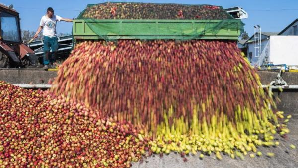  MTI fotó: Balázs Attila