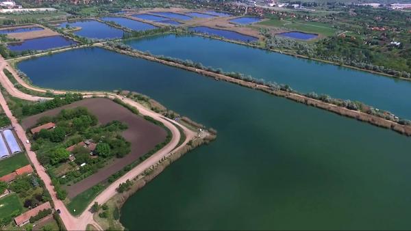 A bányatavak madártávlatból (fotó: Élvehal Egyesület) 