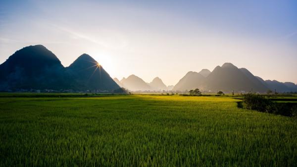 Illusztráció: pixabay.com