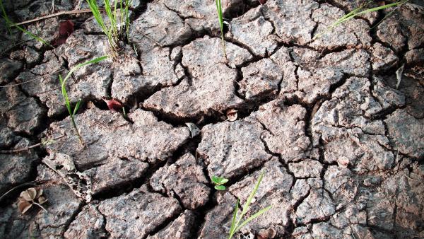 Illusztráció: pixabay.com