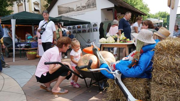 Közfoglalkoztatási kiállítás Békéscsabán. Galériánkat a kép jobboldalán található nyíl segítségével lapozhatja! Fotó: Tóth Áron