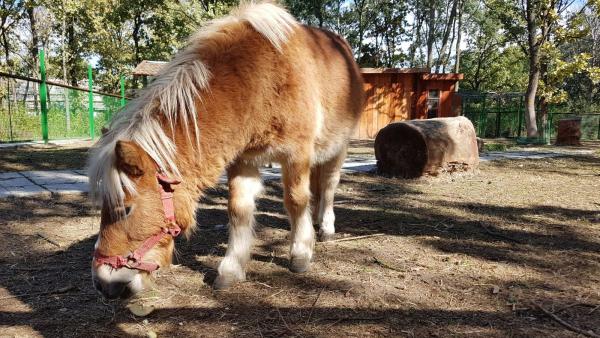 Fotó: Kovács Dénes