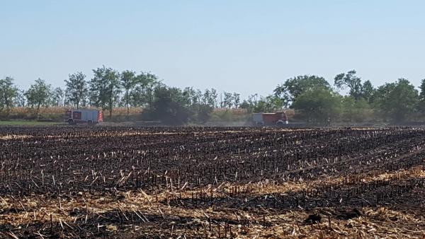 Kukoricás égett Orosháza és Csorvás között. Fotó: Kovács Dénes