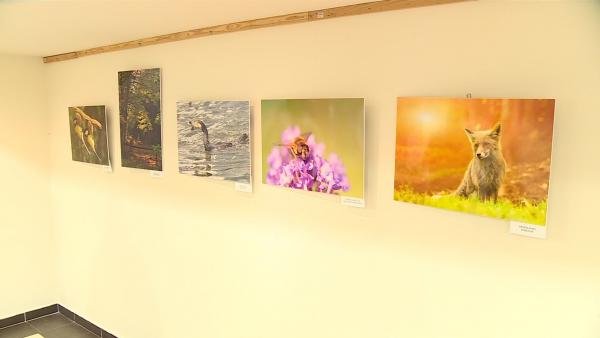 Fotó: Ujházi György