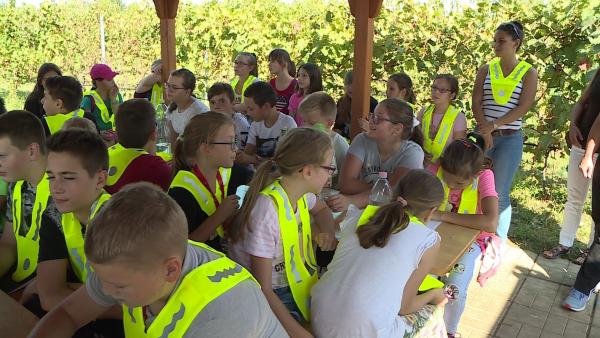 Fotó: Kugyelka Attila