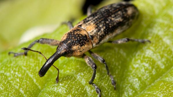 Illusztráció. Fotó: pexels.com