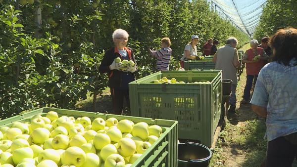 Korábbi felvétel. Fotó: behir.hu