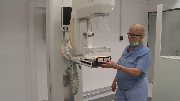 Illusztráció: Kovács Dénes