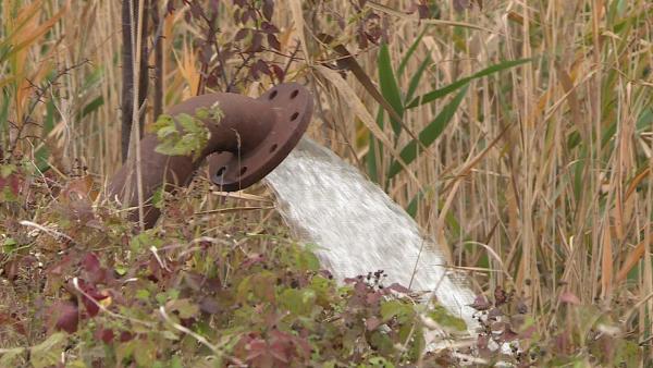 Illusztráció. Fotó: Tóth Áron